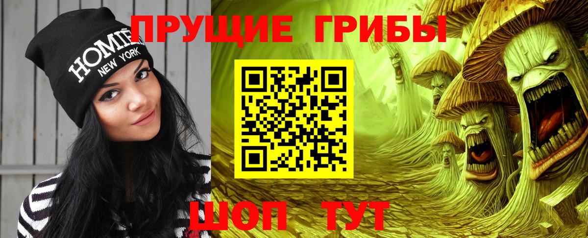 Псилоцибиновые грибы мицелий  Вход с VPN  даркнет сайт  Туймазы 